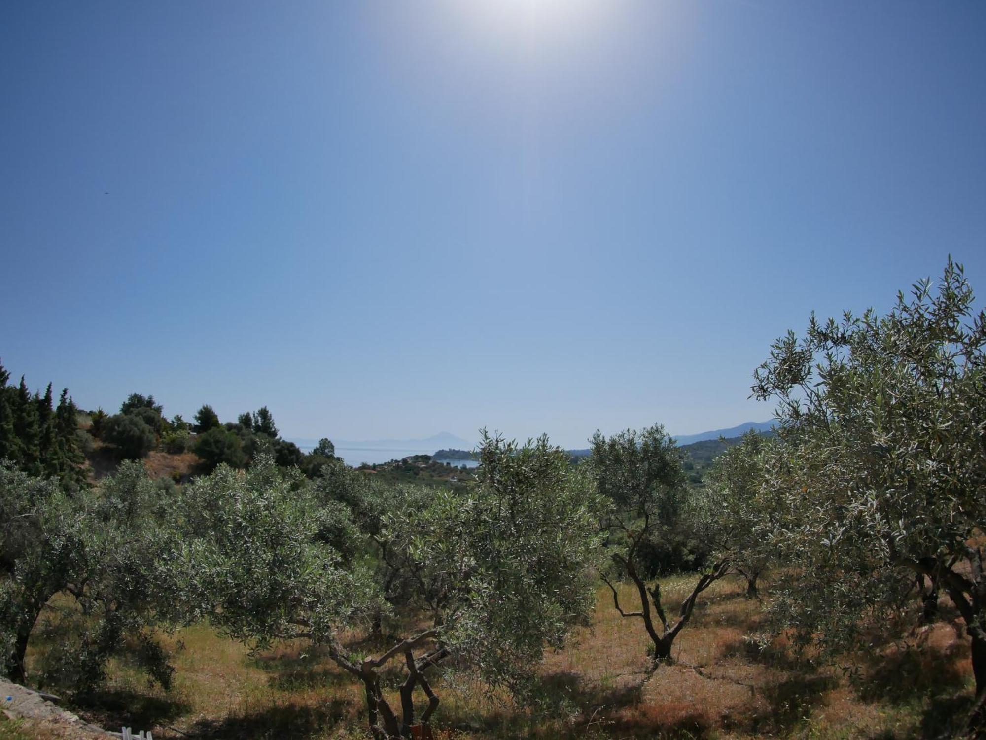 Paradiso With Sea View Διαμέρισμα