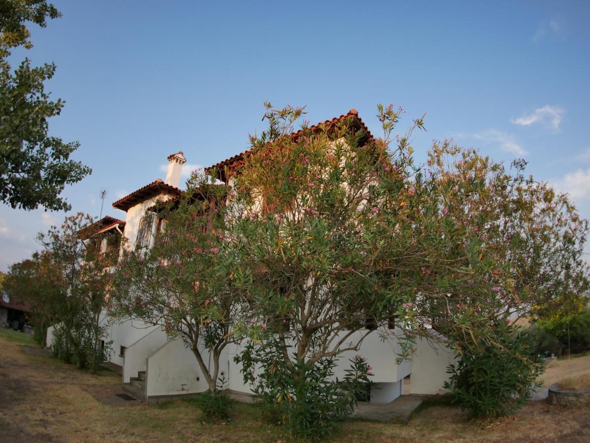 Apartment Paradiso With Sea View